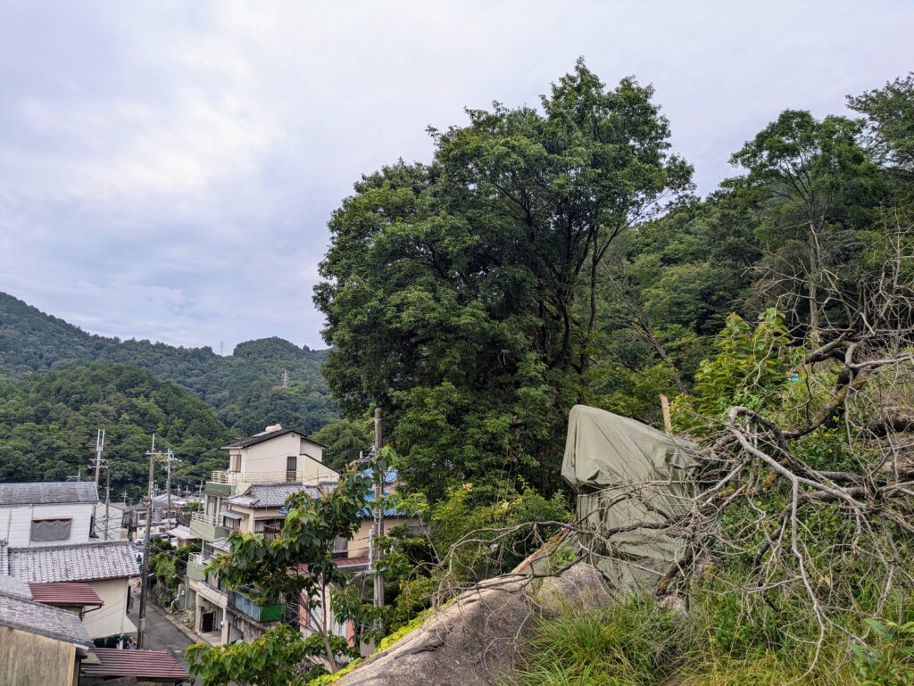 周辺状況